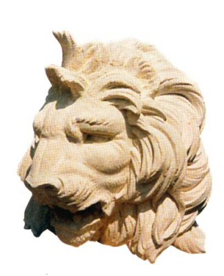 Expressive lion head